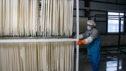 稅務賦能，非遺“活”起來 延邊稅務助力非物質文化遺產傳承與發展